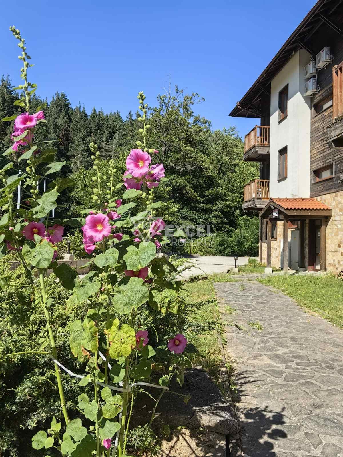 Просторно южно студио сред природата, в близост до река