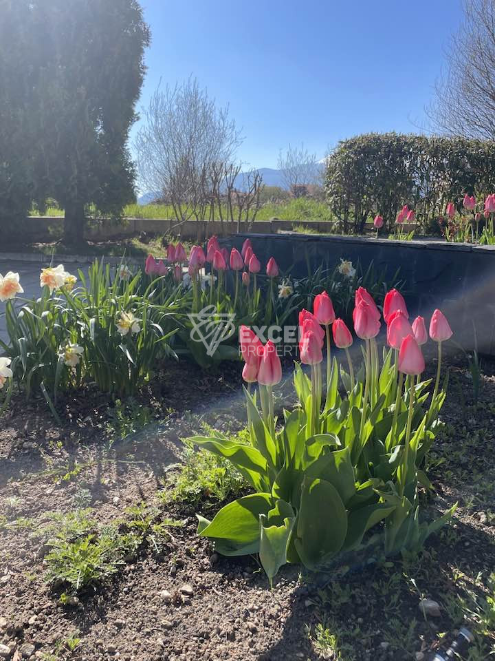 Двустаен апартамент за продажба в комплекс Аспен Хайтс, до Банско