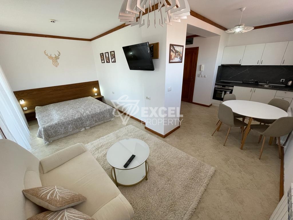 Модерно обзаведено студио в целогодишно работещ комплекс Свети Иван Рилски 4****