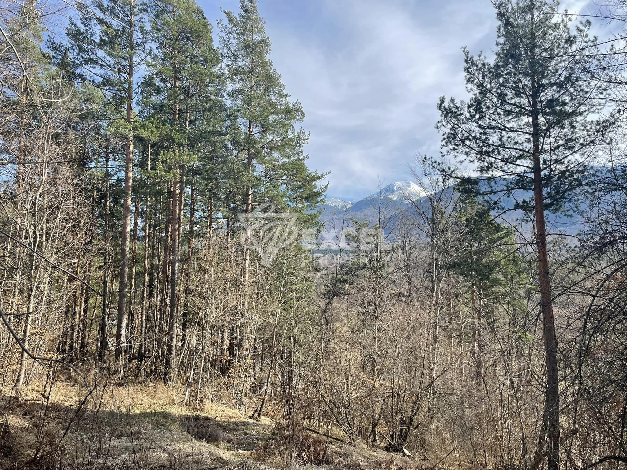 Вила за продажба в близост до Разлог и Банско, местност Предела