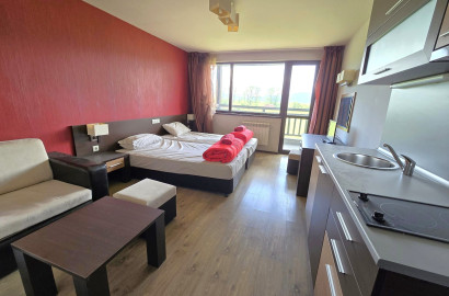 Студио на изгодна цена за продажба между Банско и Баня! Ниска такса поддръжка