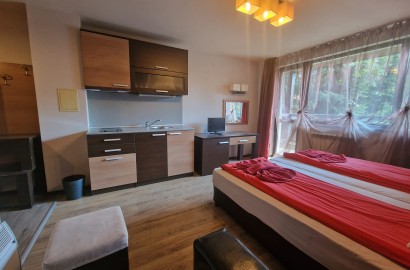 Обзаведено студио за продажба между Банско и Баня! Ниска такса поддръжка!