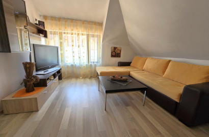 Обзаведен двустаен апартамент в сграда без такса поддръжка за продажба в Банско