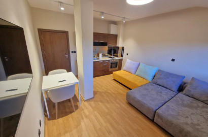 Студио с ново обзавеждане под наем на 50 метра от Ginger Bar & Dinner, Банско