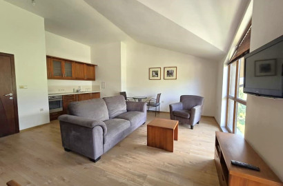 Просторно, обзаведено студио с фронтална гледка към Пирин за продажба в Green Wood, район Разлог