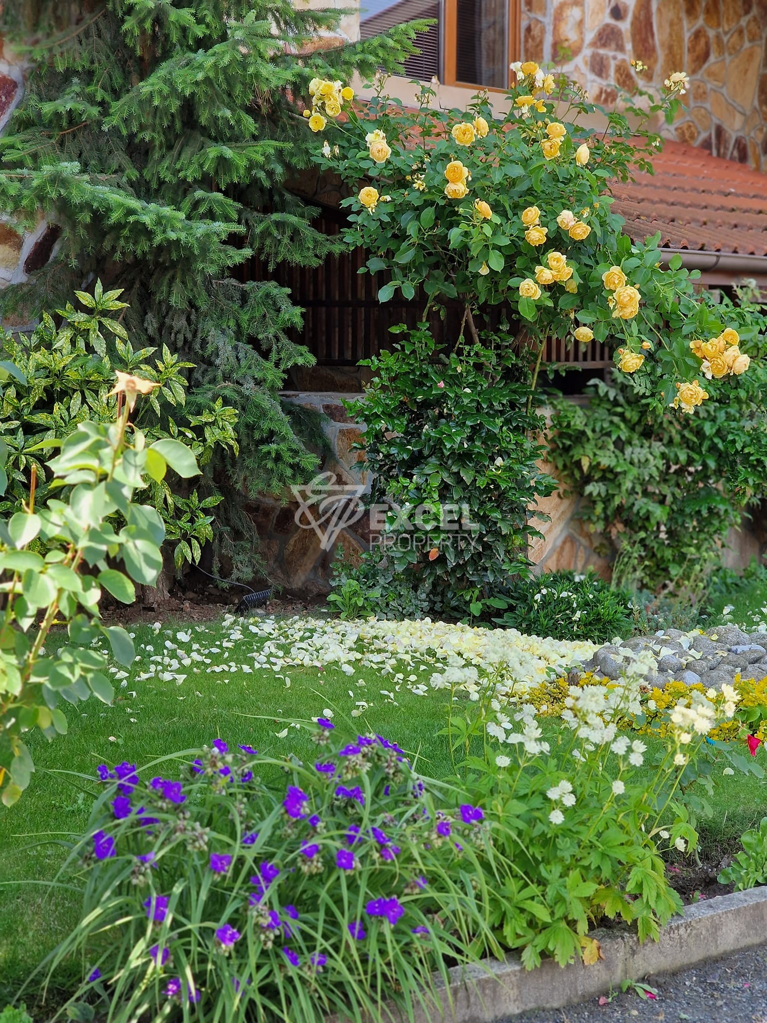 Двустаен апартамент в сграда с ниска такса поддръжка  за продажба в Банско