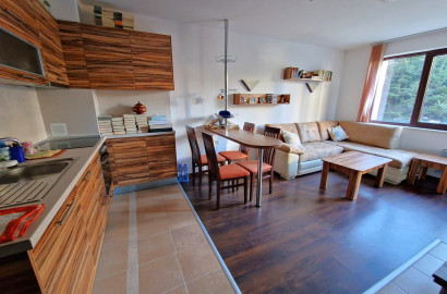 Тристаен апартамент с камина на изгодна цена за продажба в Winslow Infinity, Банско