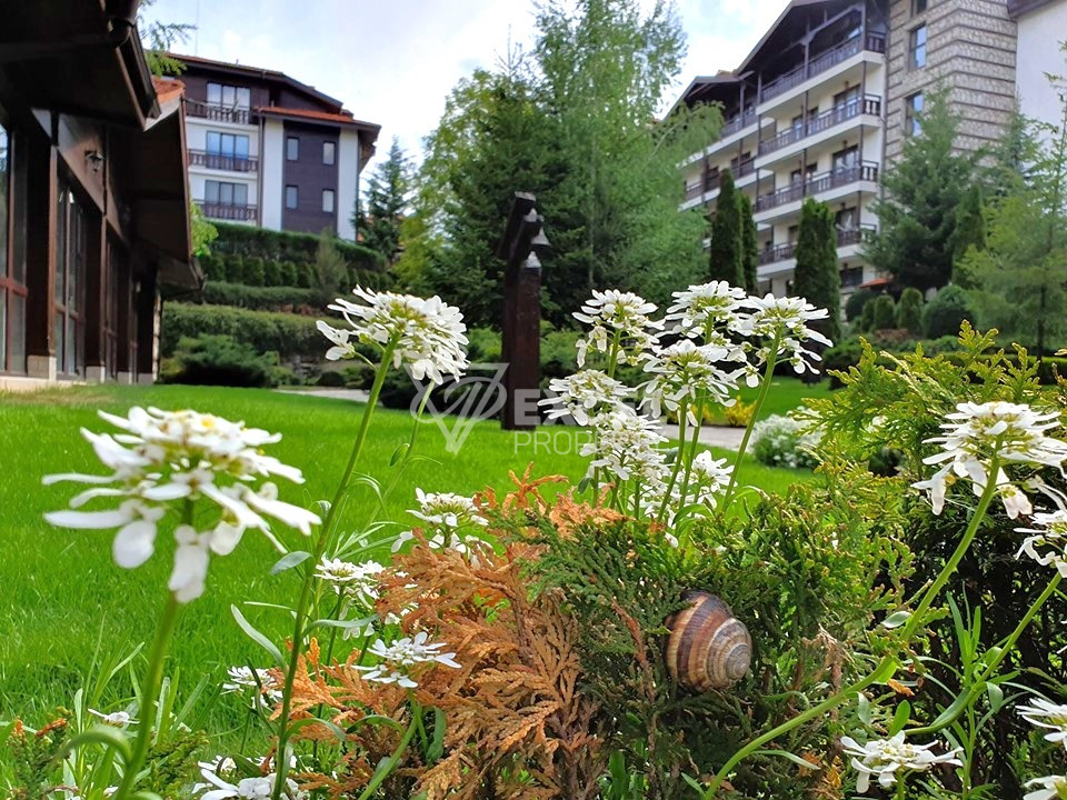 Обзаведен тристаен апартамент с камина под наем в Winslow Infinity, Банско