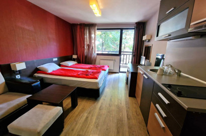 Изгодно студио за продажба с ниска такса поддръжка в село Баня!