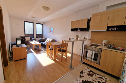 Южен двустаен апартамент за продажба в комплекс Аспен Валей до Разлог