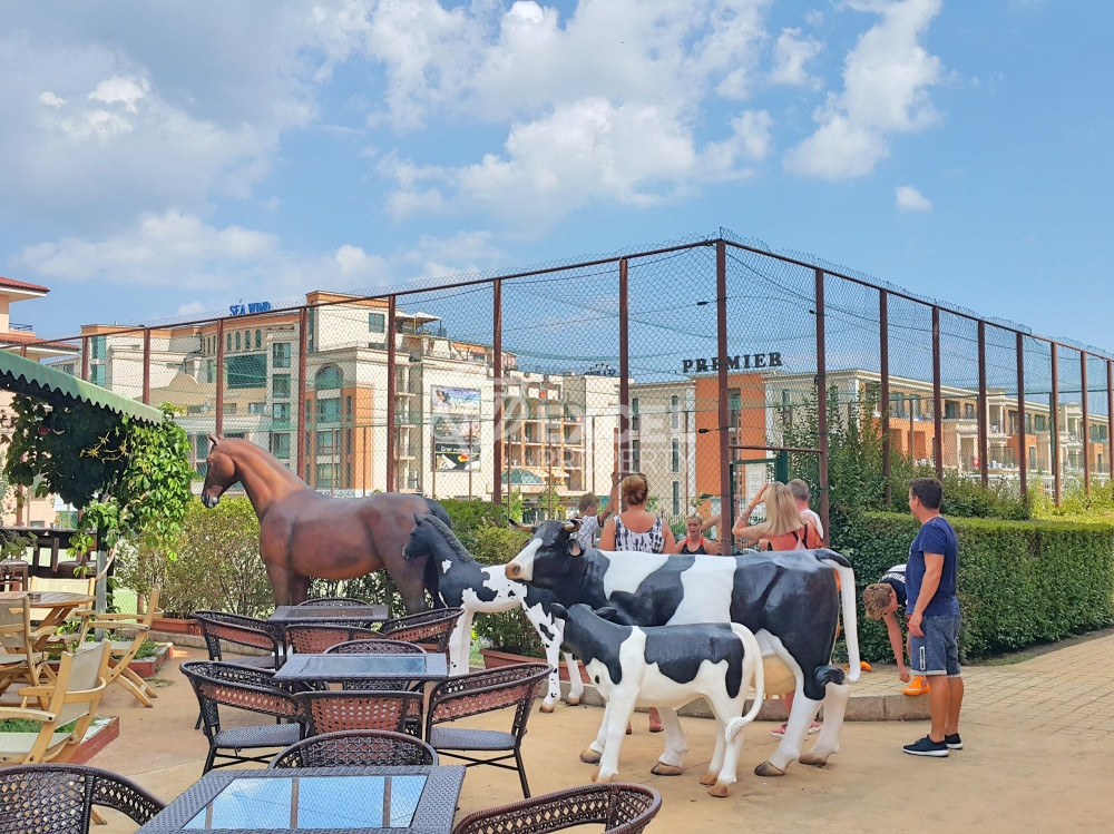 Голямо студио в отлично състояние в Свети Влас, Панорама Дриймс